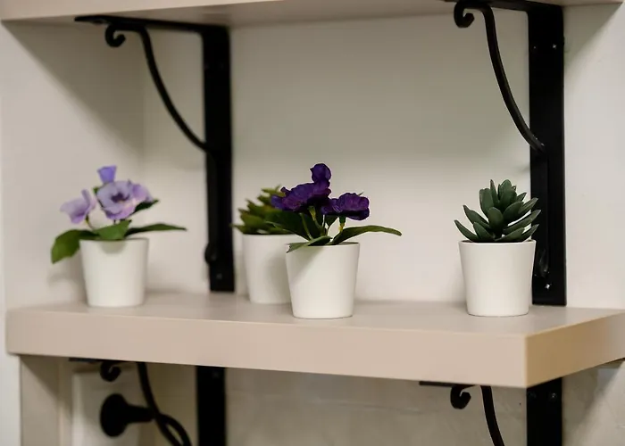 Park Villa Aranđelovac